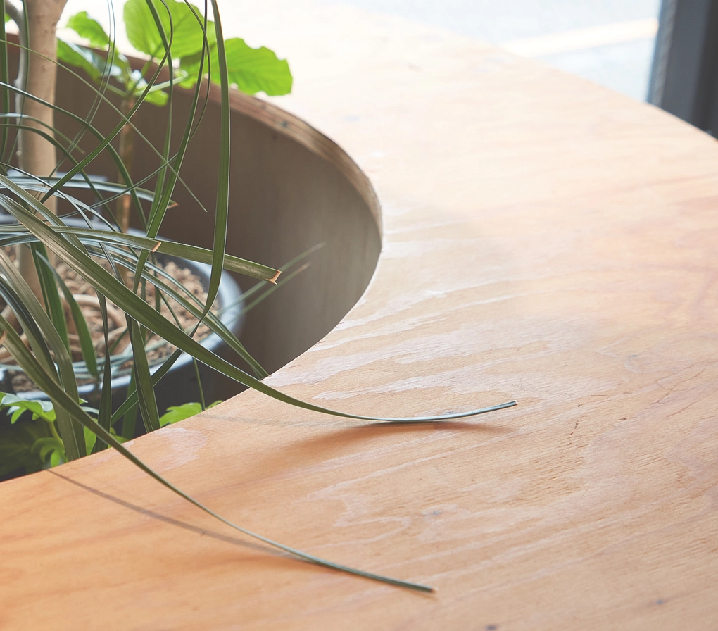 「シロアリ対策も万全の10年目の専門点検」